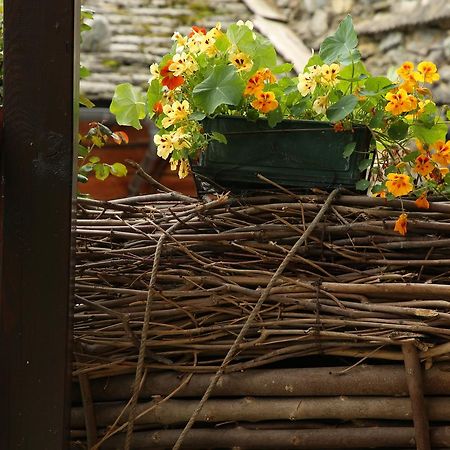 Residence Casa Dei Fiori Alagna Valsesia Eksteriør bilde